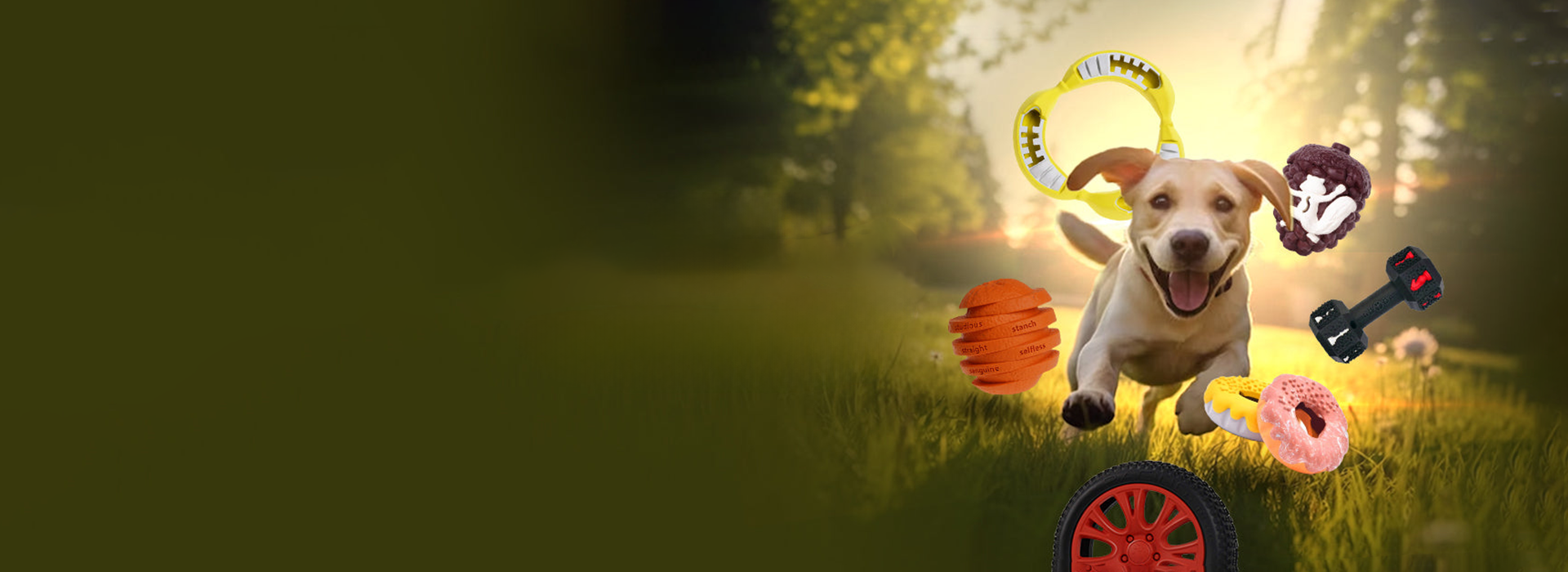 slider image 1621243260e1af0c20-0